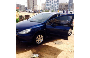 Peugeot 307 0