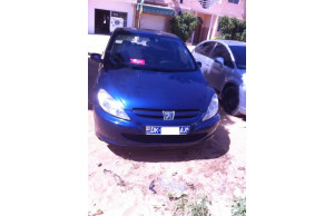 Peugeot 307 0