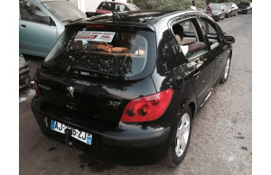 Peugeot 307 2007