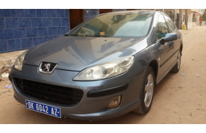 Peugeot 407 2007
