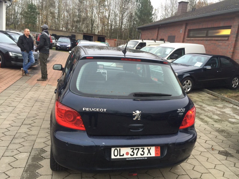 Peugeot 307 2007 0