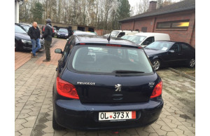Peugeot 307 2007