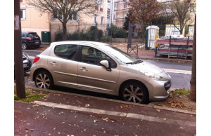 Peugeot 207 2007