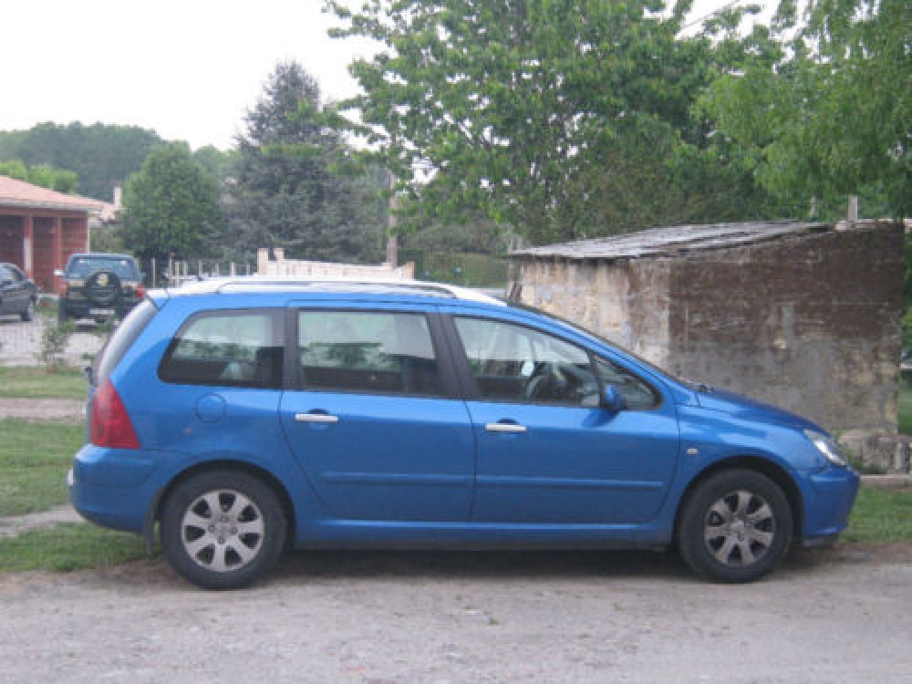 Peugeot 307 2007 0