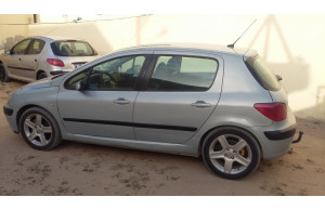 Peugeot 307 0