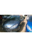 Peugeot 307 2007 mini 0
