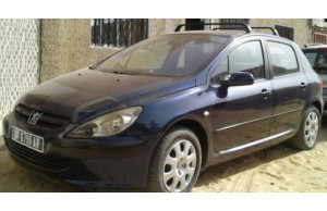 Peugeot 307 2004