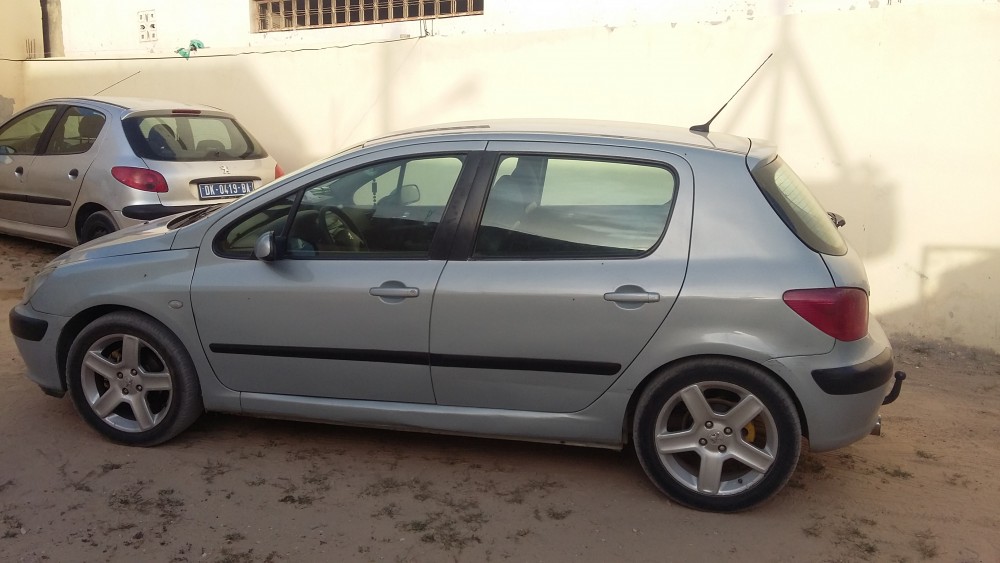 Peugeot 307 0 0