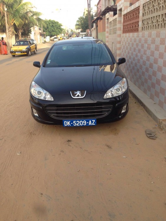 Peugeot 407 2008 0