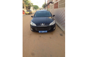 Peugeot 407 2008