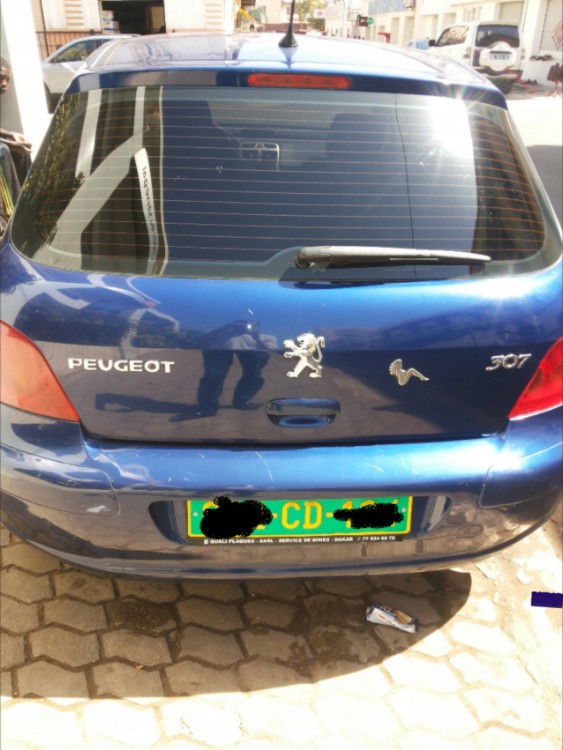 Peugeot 307 2006 0