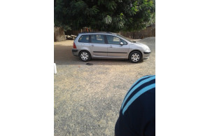 Peugeot 307 0