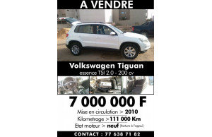 Volkswagen Tiguan 2010