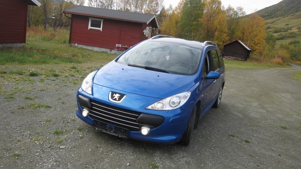 Peugeot 307 2007 0