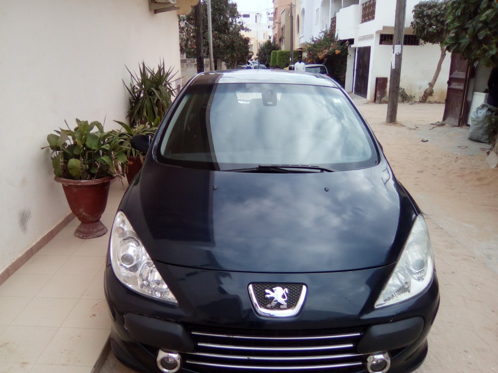 Peugeot 307 2007 0