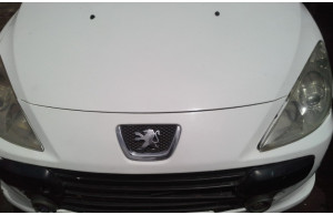 Peugeot 307 0