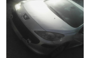 Peugeot 307 2007