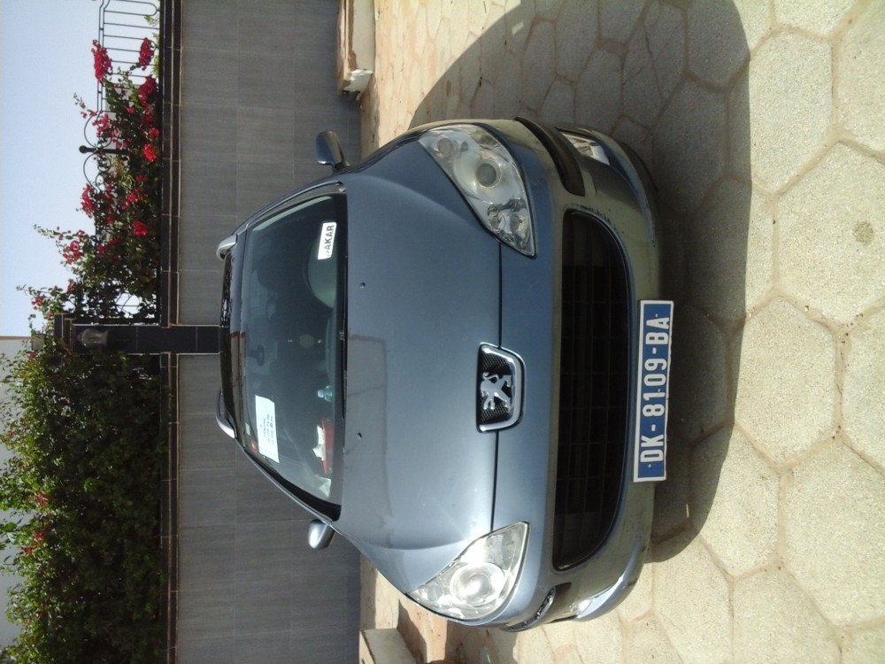 Peugeot 407 2008 0
