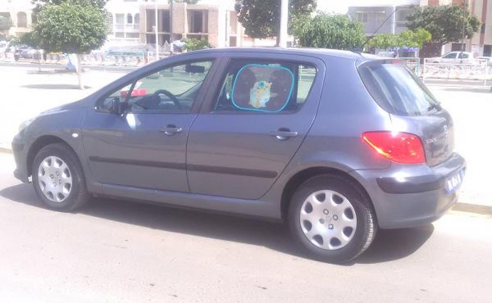 Peugeot 307 2006 0