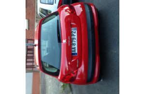 Peugeot 207 2009