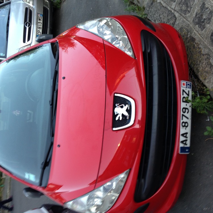 Peugeot 207 2009 0