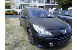 Peugeot 307 XS 2008