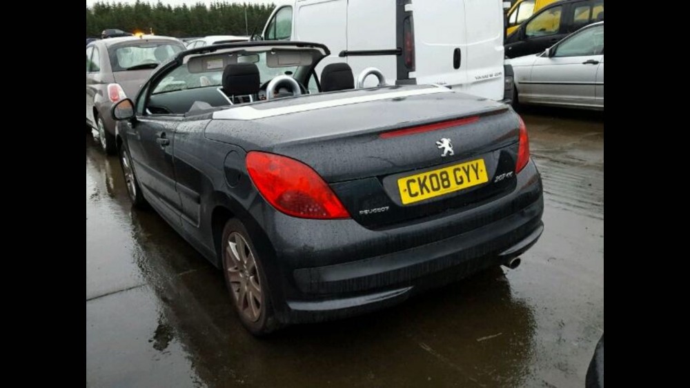 Peugeot 207 2009 0