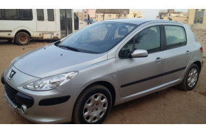 Peugeot 307 2007