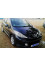 Peugeot 207 2009 mini 0