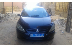 Peugeot 307 2002