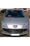 Peugeot 307 2007 mini 0