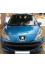 Peugeot 207 2009 mini 0