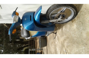 Piaggio  Free 0