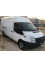 Ford Transit 2009 mini 0