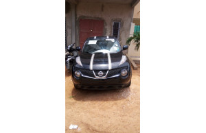 Nissan Juke 2011