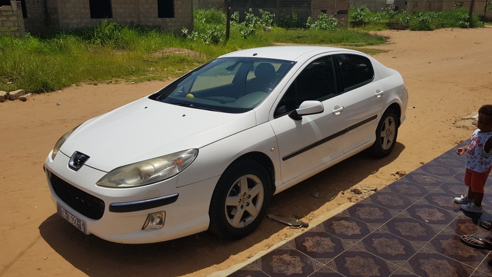 Peugeot 407 2008 0