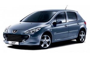Peugeot 307 0