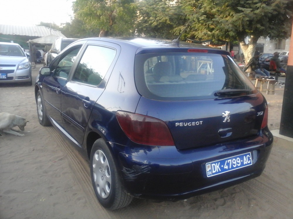 Peugeot 307 2006 0