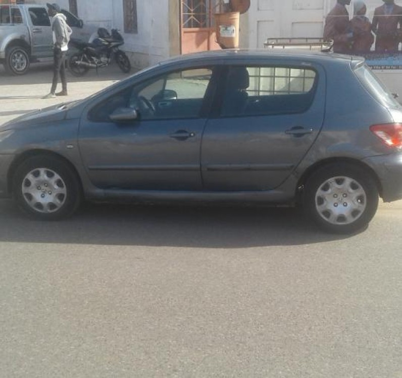 Peugeot 307 2006 0