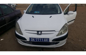 Peugeot 307 0