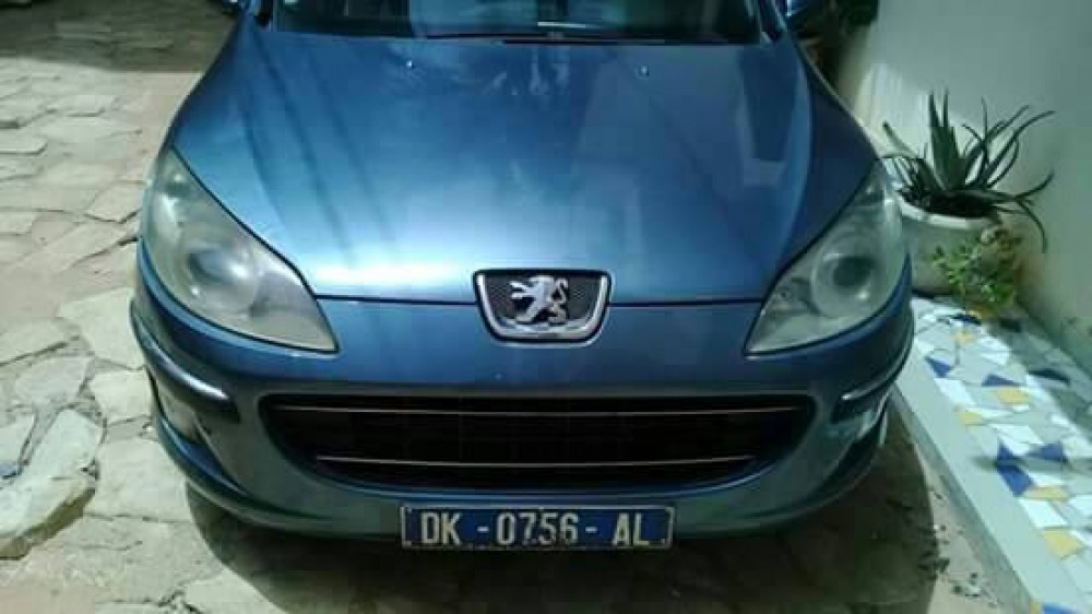 Peugeot 407 2006 0