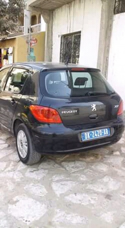 Peugeot 307 2007 0