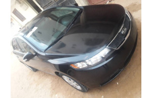 Kia Spectra 2010