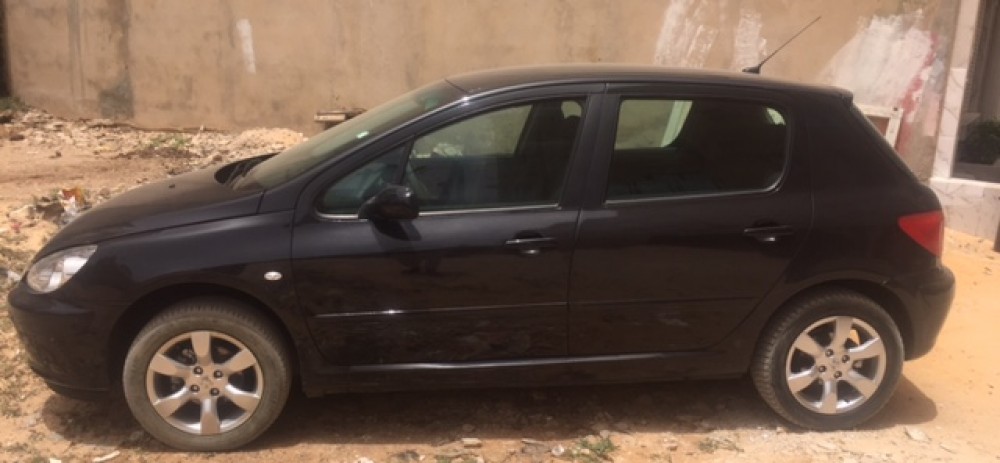 Peugeot 307 2005 0