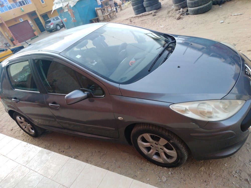 Peugeot 307 2007 0