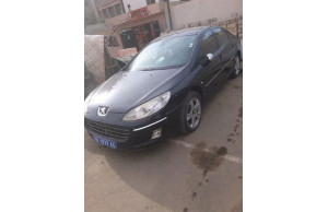 Peugeot 407 2007