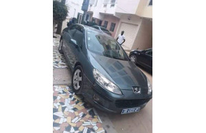 Peugeot 407 2006