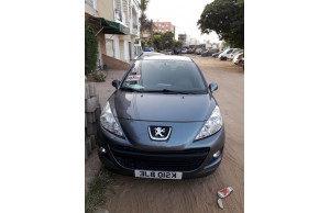 Peugeot 207 2010