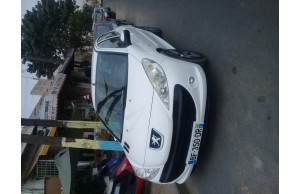 Peugeot 206 2010