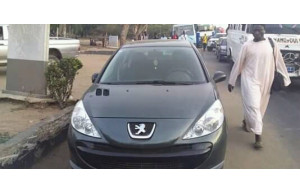 Peugeot 207 2010